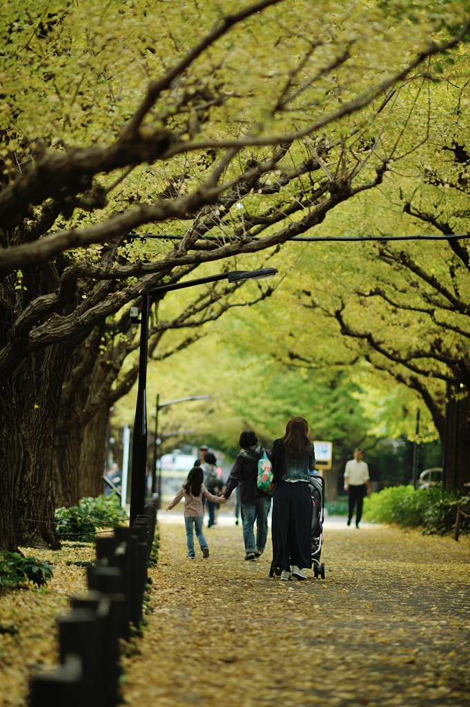 autumn for tokyoites