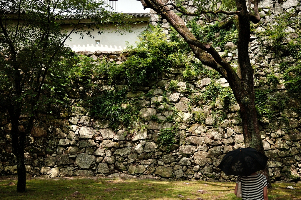 城壁と君