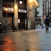 after the rain