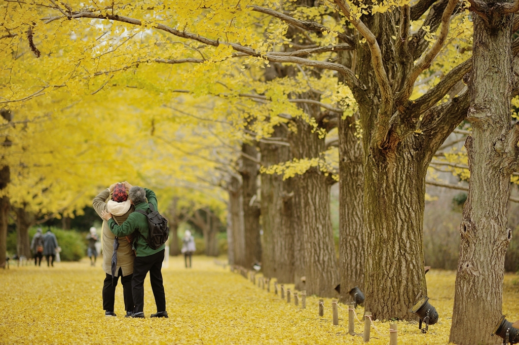 autumn for tokyoites 2019