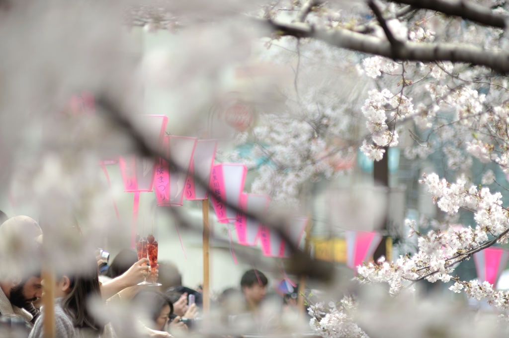 spring for tokyoites 2019