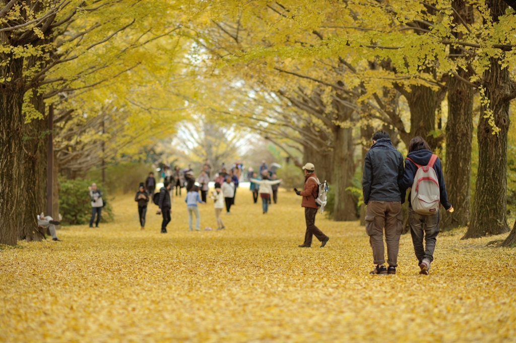 autumn for tokyoites