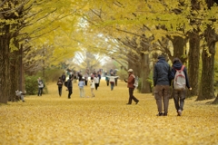 autumn for tokyoites