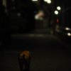 夜道