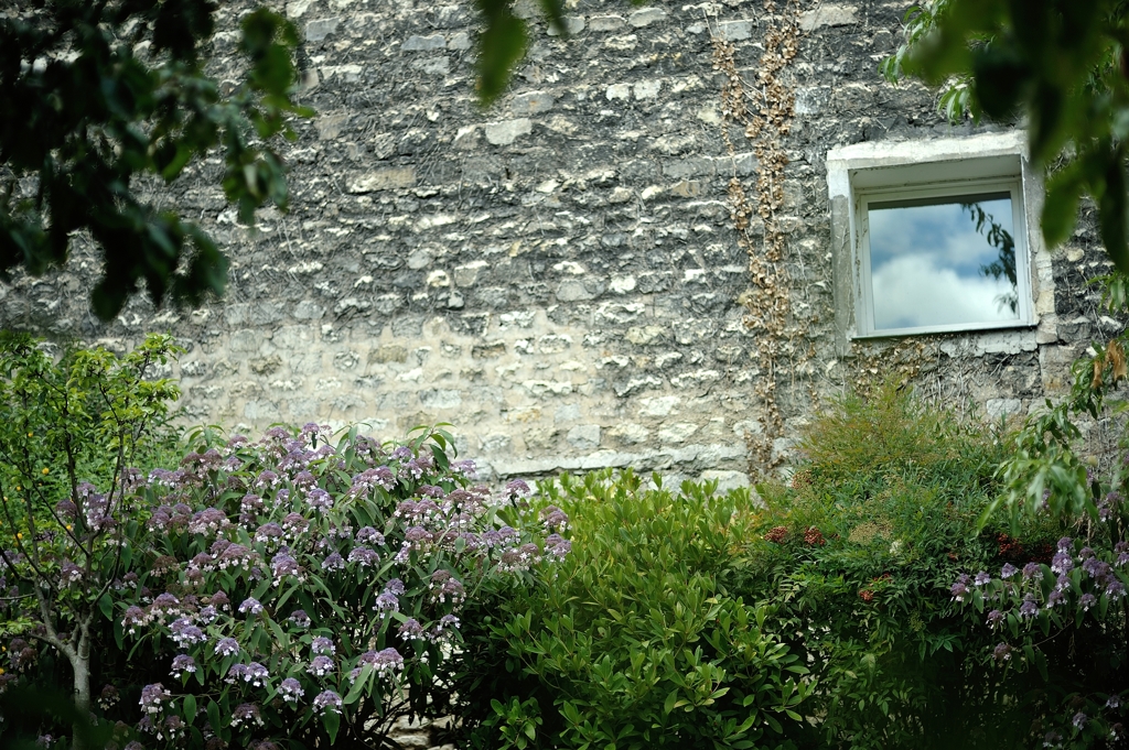 a small garden