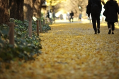 autumn for tokyoites 2021