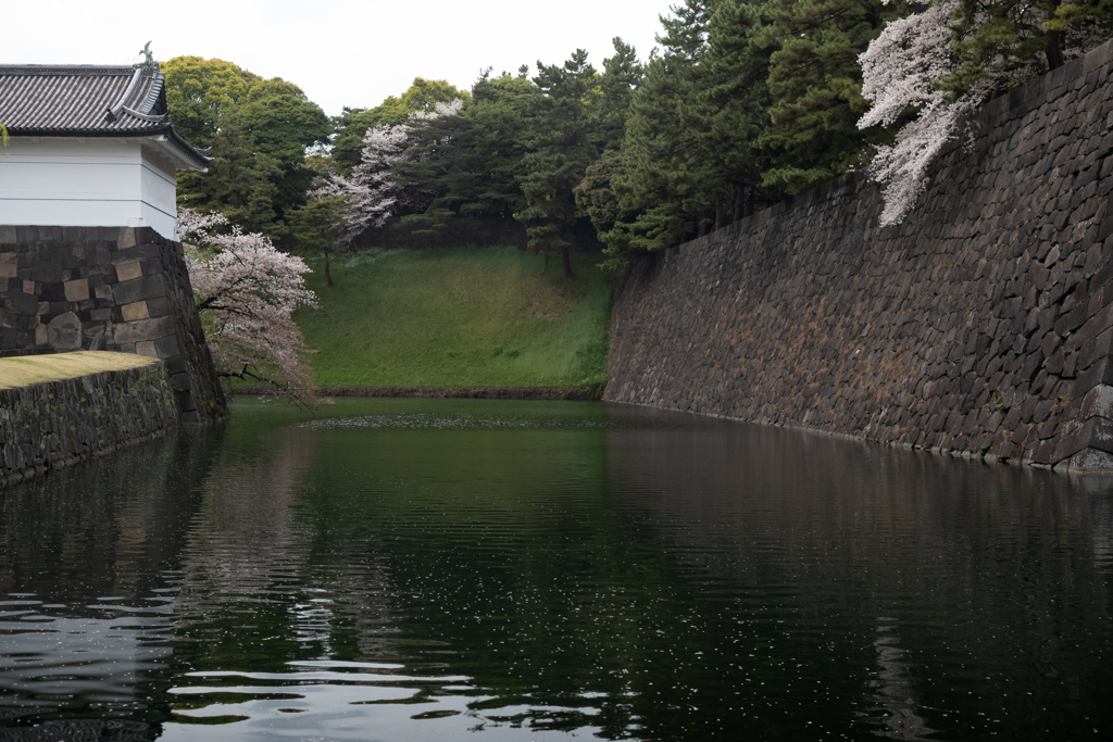 spring for tokyoites 2023