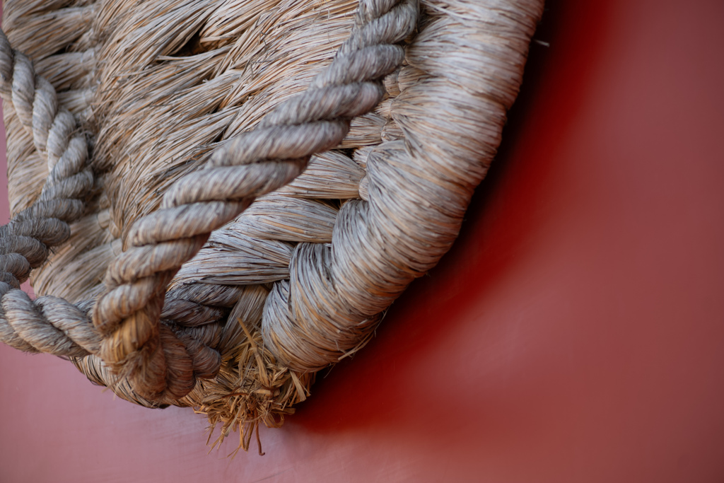 皆んなの大草鞋