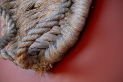 皆んなの大草鞋