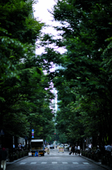 晩夏