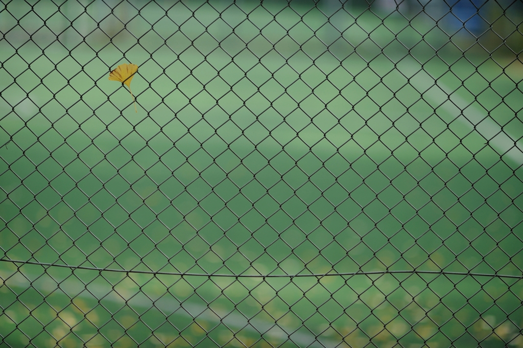 autumn for tokyoites 2019