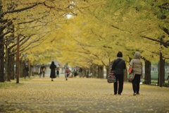 autumn for tokyoites 2017