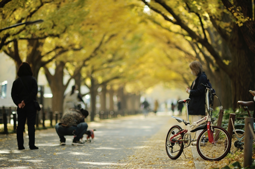 autumn for tokyoites 2020