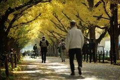 autumn for tokyoites 2020