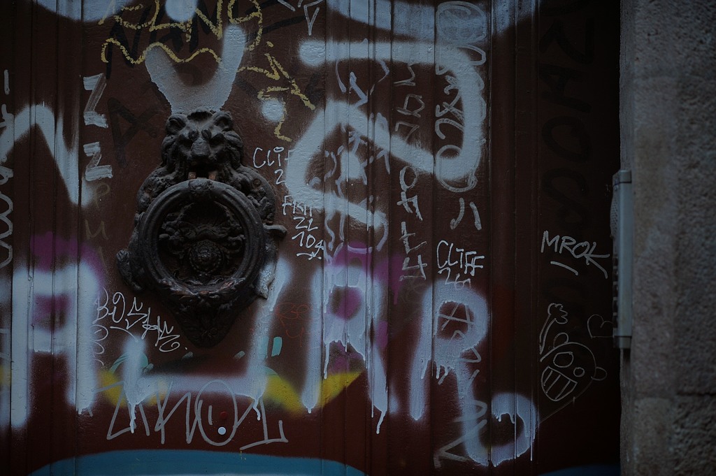 the lion door