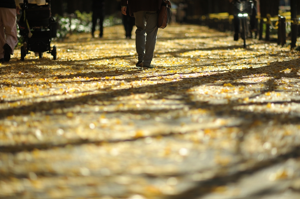 autumn for tokyoites 2021