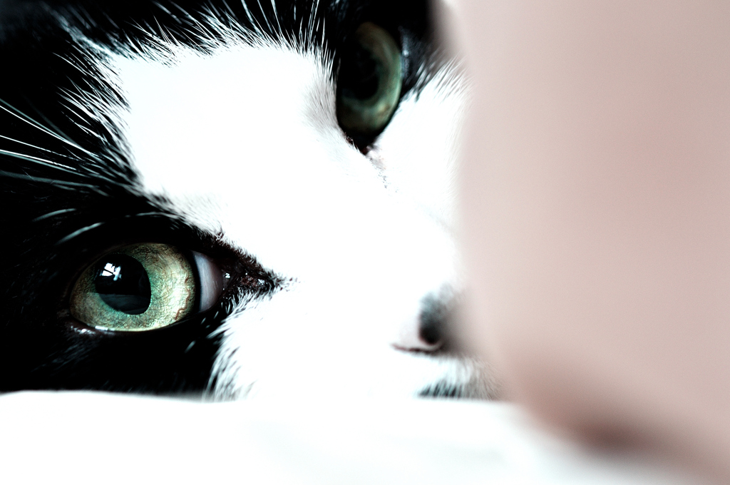 hello!