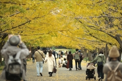 autumn for tokyoites 2021