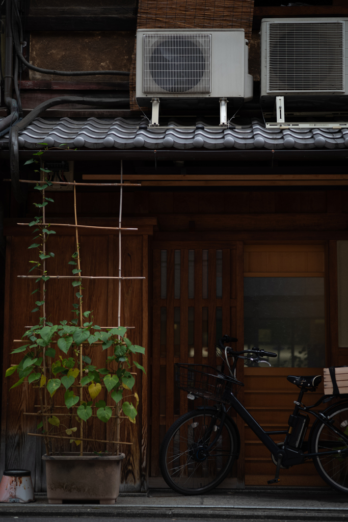 kyoto style