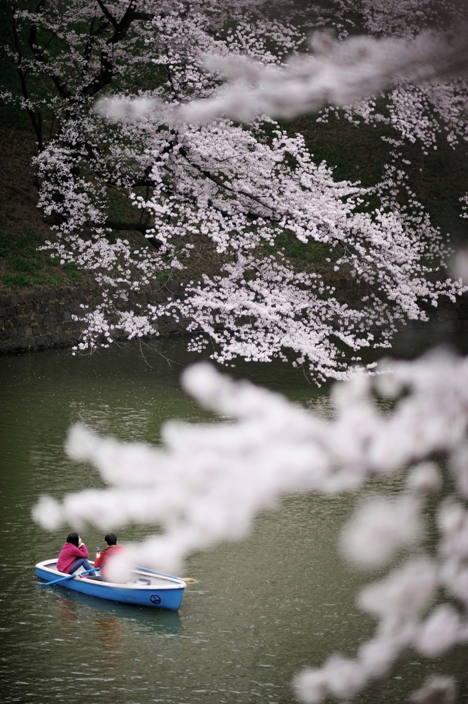 the Chidorigafuchi Moat