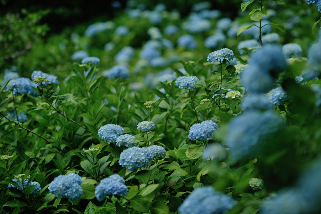 5月30日