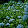 5月30日