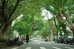 green台北