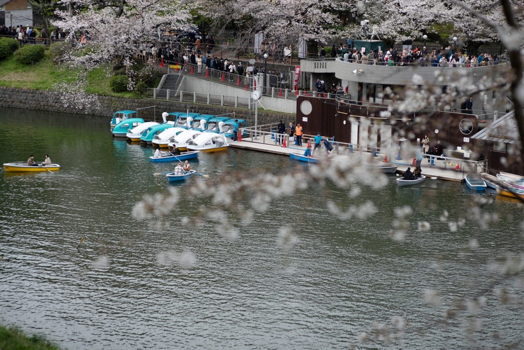 spring for tokyoites 2025