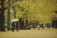 autumn for tokyoites 2017