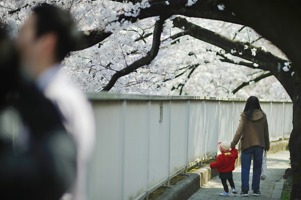 spring for tokyoites 2019