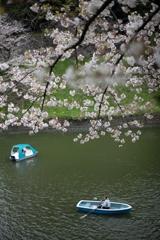 spring for tokyoites 2023