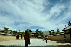 斑鳩の古寺と空