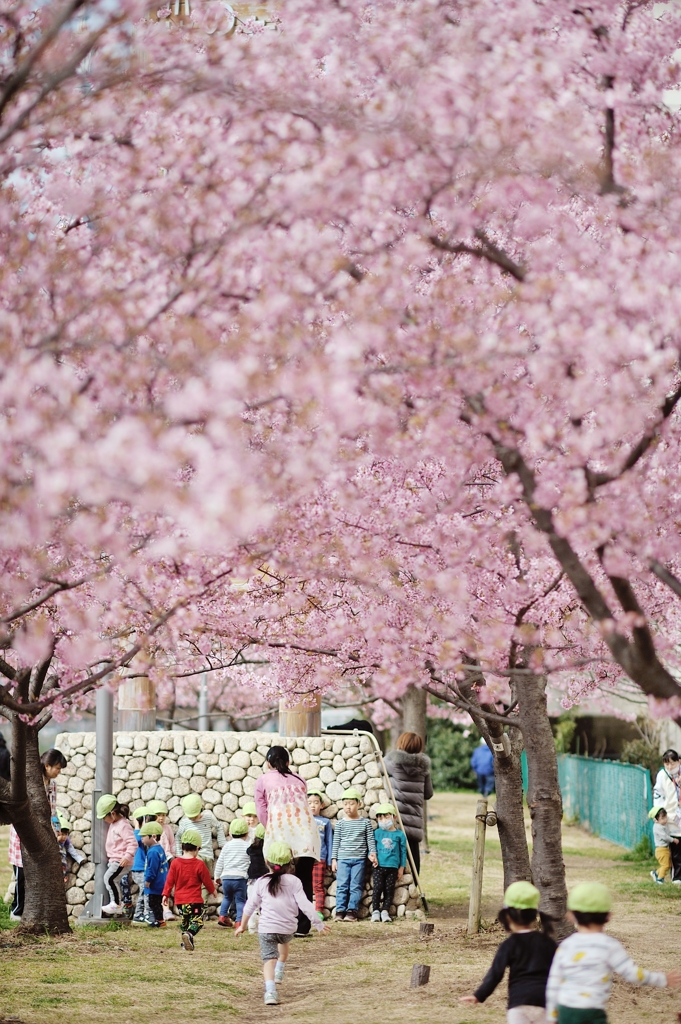 spring for tokyoites 2020