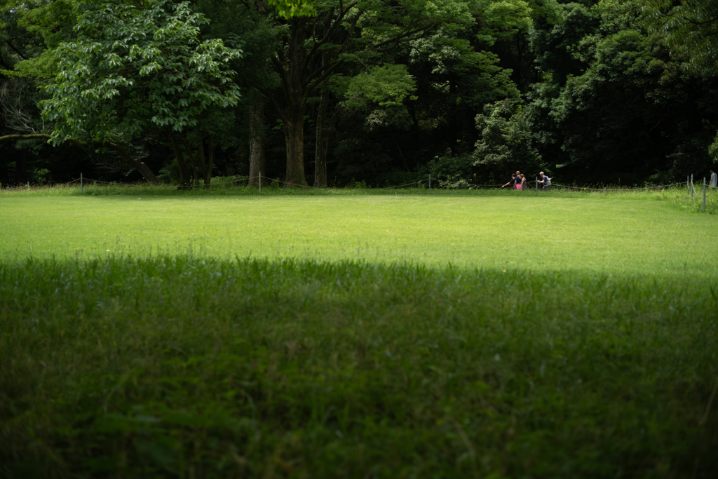 杜の社のその奥で
