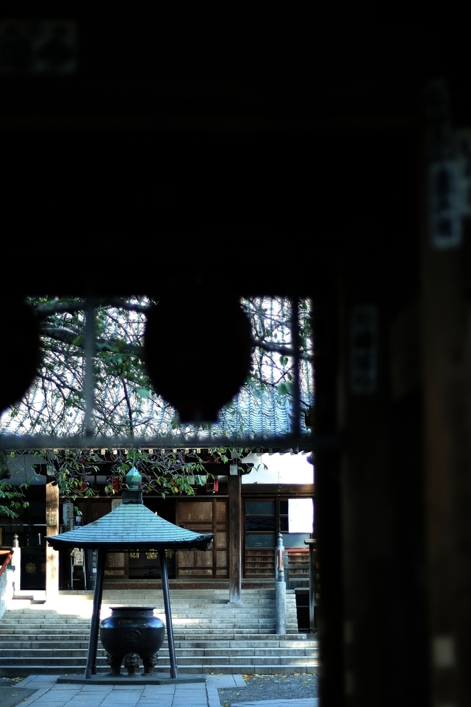 初秋　新井薬師にて