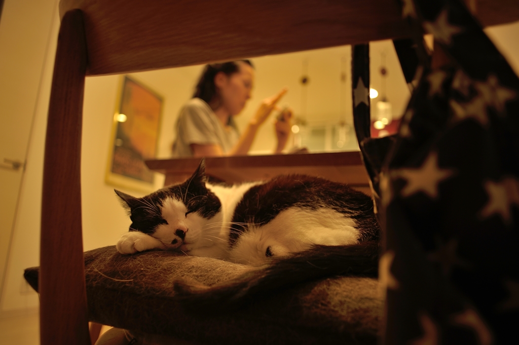 get comfortable,please