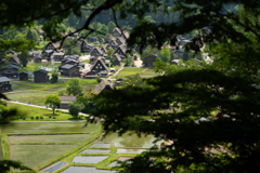 白川郷にて