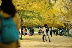 autumn for tokyoites