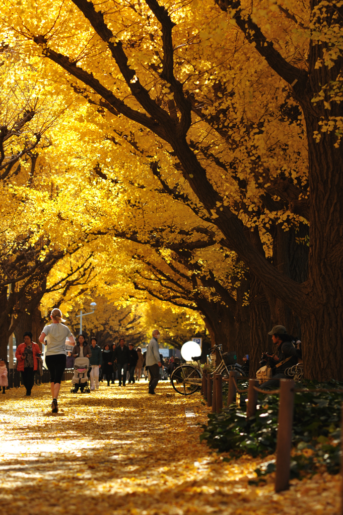 autumn for Tokyoites