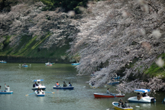 spring for tokyoites