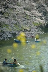 spring for tokyoites