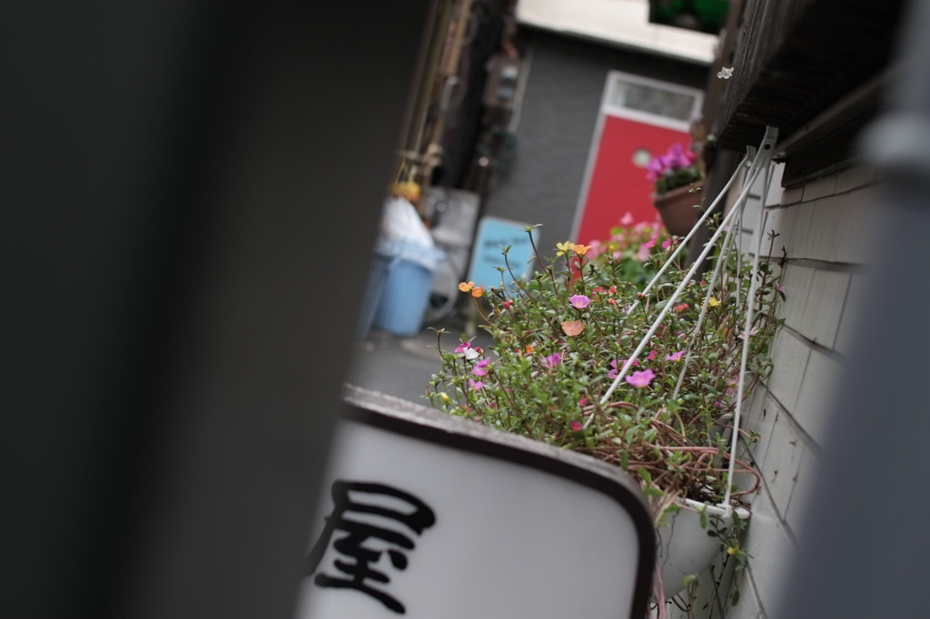 nakano