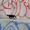 a border