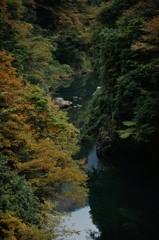 kazuma-valley