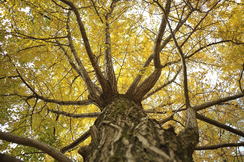 autumn for tokyoites 2021