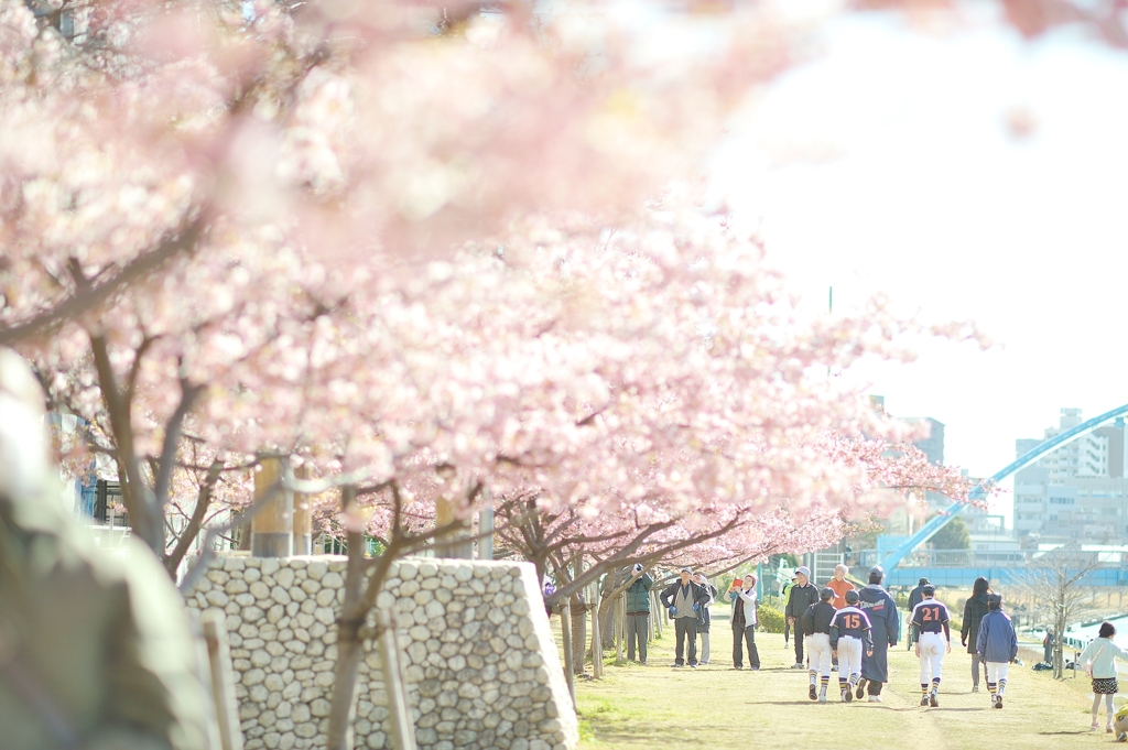 spring for tokyoites