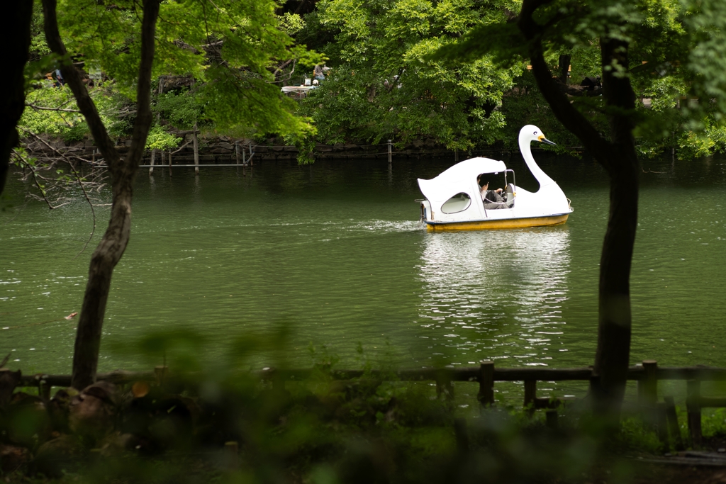 井の頭公園にて