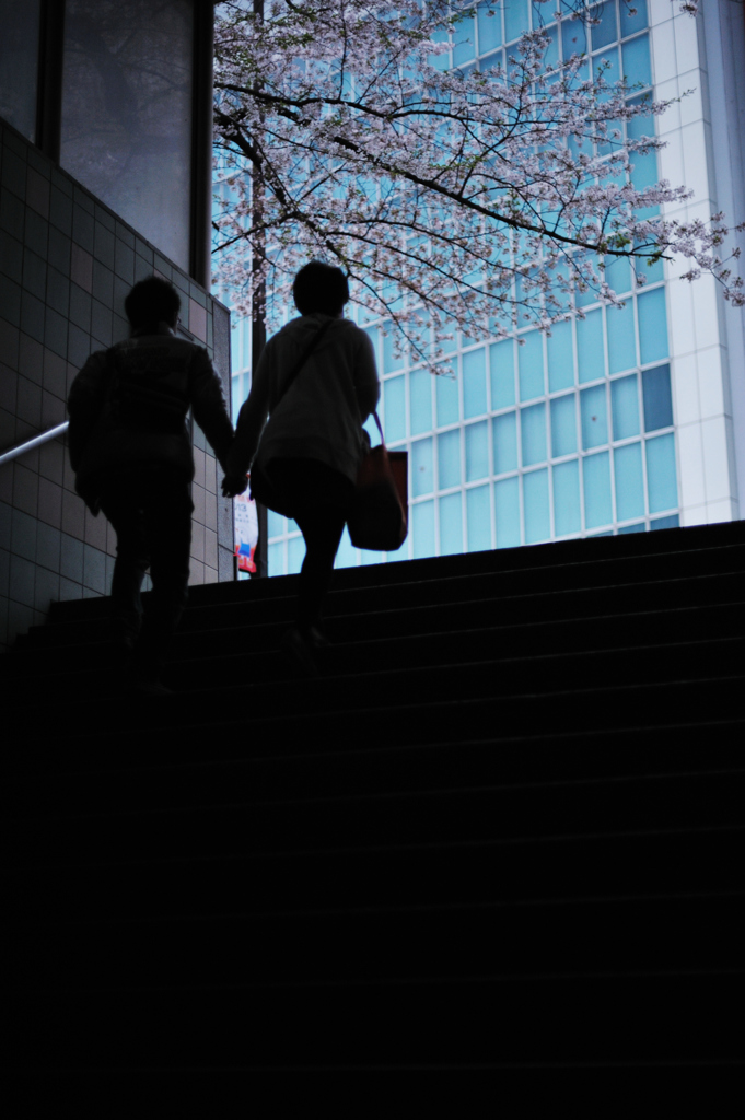 市ヶ谷の春