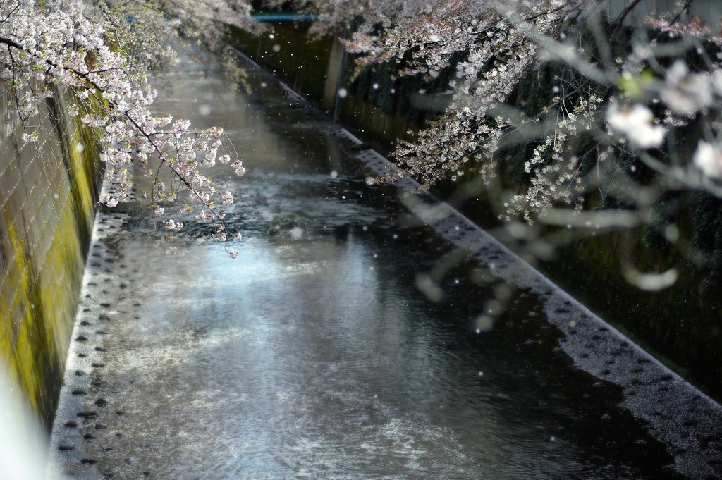 喝采