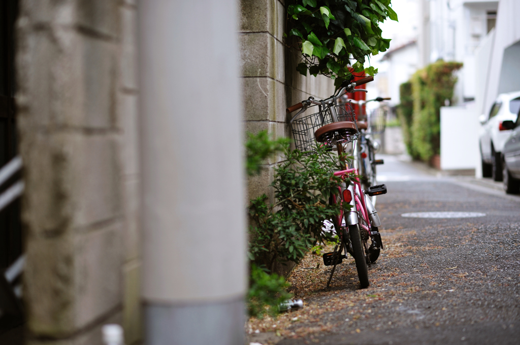nakano-today 8